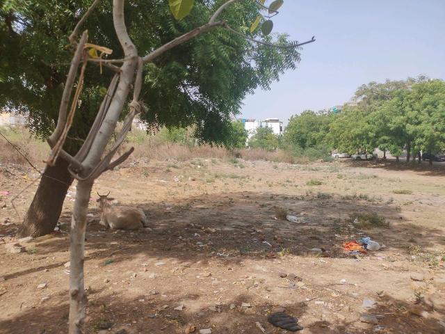 Residential Plot in Sector 49 for resale Faridabad. The reference number is 20309065