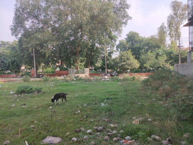 Residential Plot in Sector 49 for resale Faridabad. The reference number is 21141394