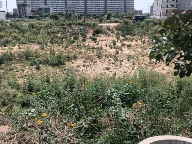 Residential Plot in Sector 49 for resale Gurgaon. The reference number is 16627835