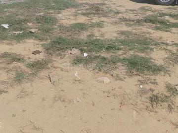 Residential Plot in Sector 49 for resale Gurgaon. The reference number is 16628649