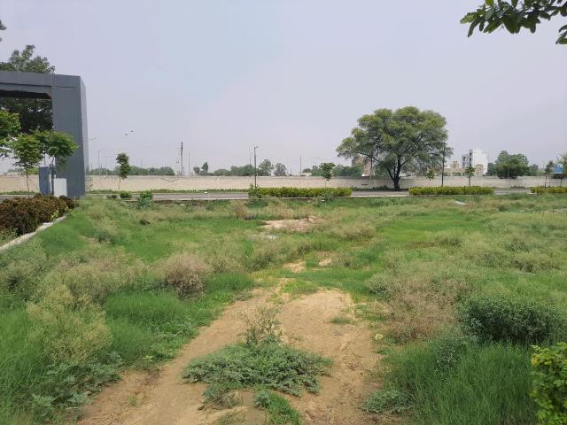 Residential Plot in Sector 4 for resale Sohna. The reference number is 20376151
