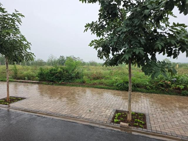 Residential Plot in Sector 4 for resale Panchkula. The reference number is 20647215