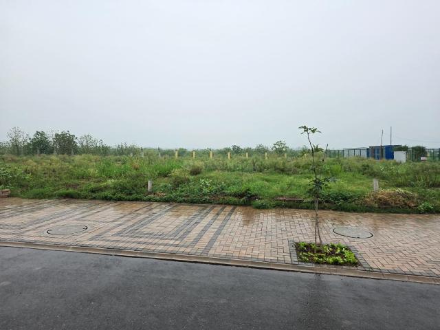 Residential Plot in Sector 4 for resale Panchkula. The reference number is 21313251