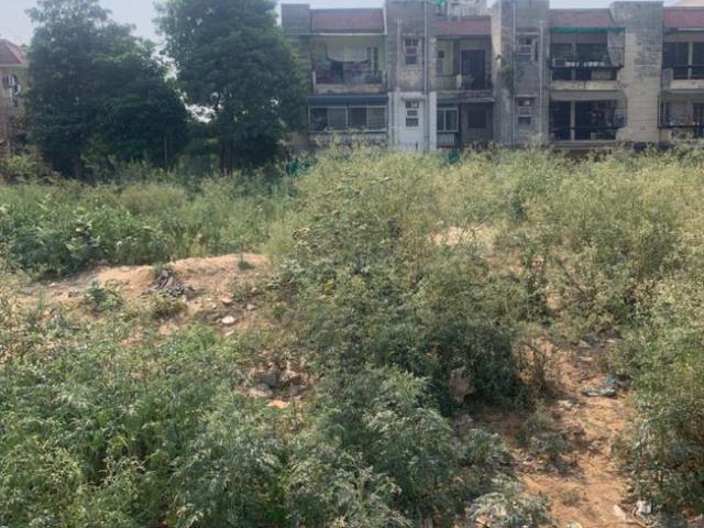 Residential Plot in Sector 51 for resale Gurgaon. The reference number is 13673038