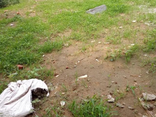 Residential Plot in Sector 51 for resale Gurgaon. The reference number is 20513639