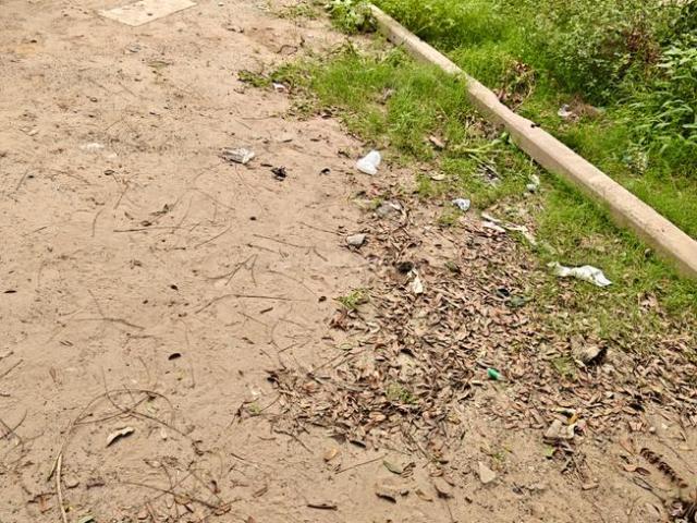 Residential Plot in Sector 51 for resale Gurgaon. The reference number is 21096627