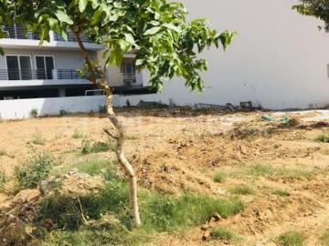 Gurgaon, Gurgaon District, Haryana State