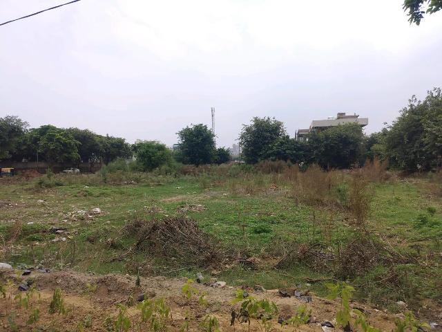 Residential Plot in Sector 52 for resale Gurgaon. The reference number is 17715973