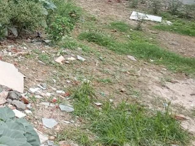 Residential Plot in Sector 52 for resale Gurgaon. The reference number is 20513326