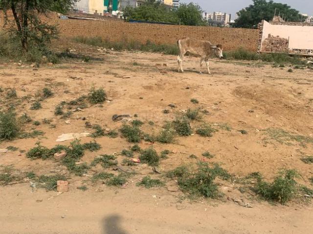 Residential Plot in Sector 57 for resale Gurgaon. The reference number is 17527610