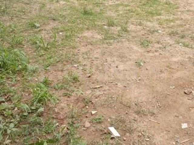 Residential Plot in Sector 57 for resale Gurgaon. The reference number is 20510206