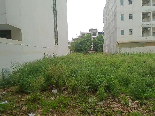 Residential Plot in Sector 57 for resale Gurgaon. The reference number is 20787581
