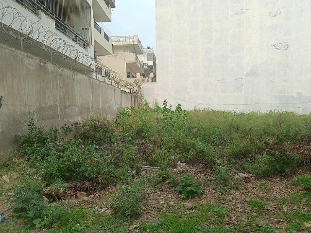Residential Plot in Sector 57 for resale Gurgaon. The reference number is 20787671