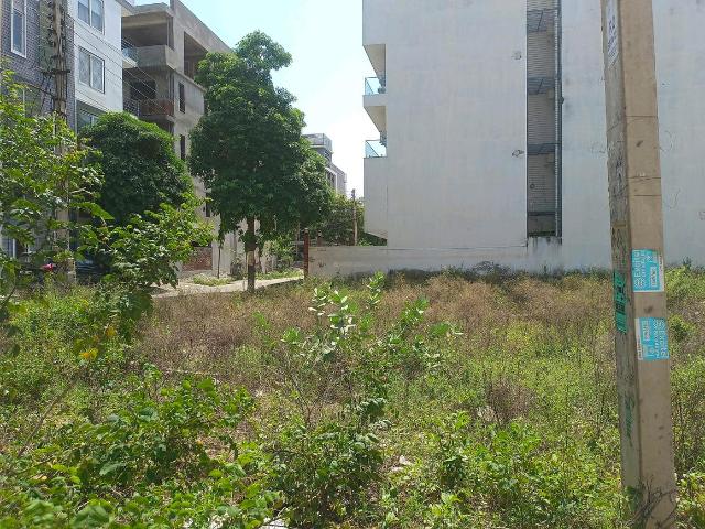 Residential Plot in Sector 57 for resale Gurgaon. The reference number is 21050140