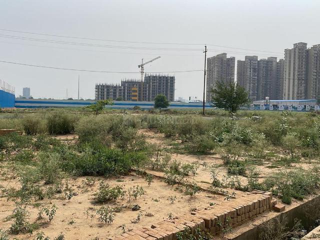 Residential Plot in Sector 55 for resale Gurgaon. The reference number is 19899706
