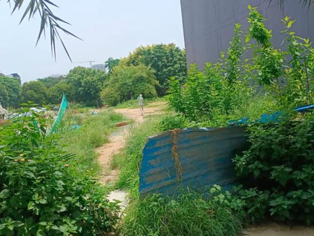 Residential Plot in Sector 56 for resale Gurgaon. The reference number is 20595498
