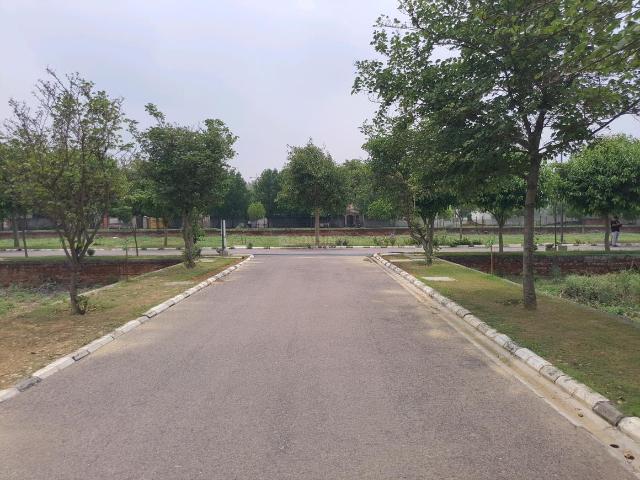 Residential Plot in Sector 5 for resale Sohna. The reference number is 20650060