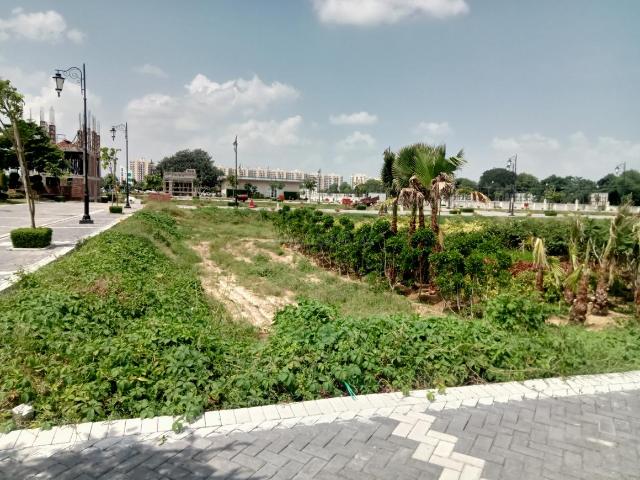 Residential Plot in Sector 5 for resale Sohna. The reference number is 20256741