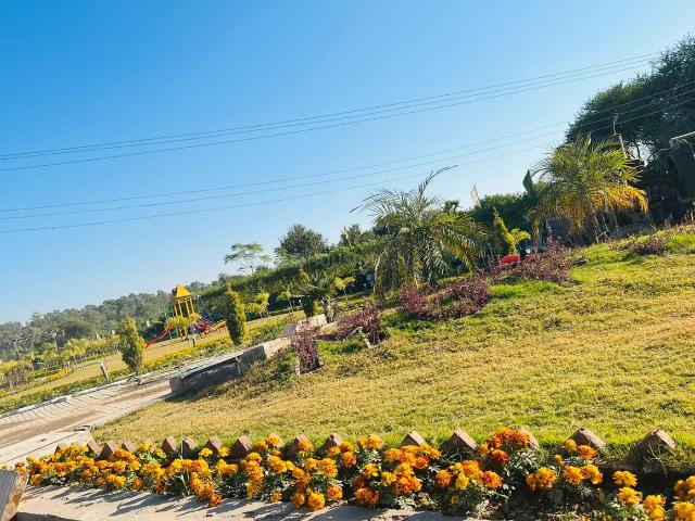 Residential Plot in Sector 60 for resale Mohali. The reference number is 19638234