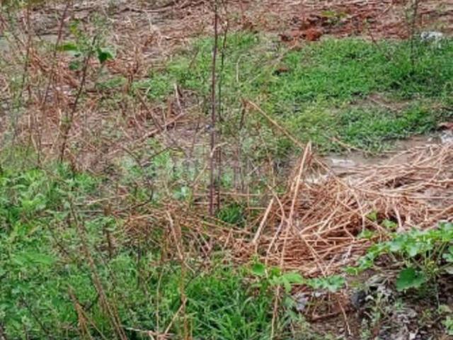 Residential Plot in Sector 67 for resale Gurgaon. The reference number is 19057078