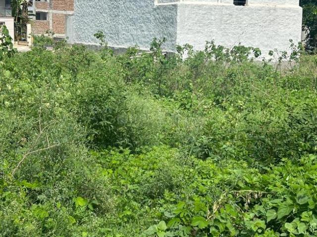 Residential Plot in Sector 64 for resale Faridabad. The reference number is 19069500