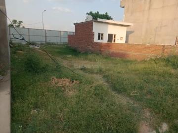 Residential Plot in Sector 66 for resale Mohali. The reference number is 20264715