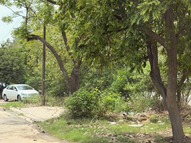 Residential Plot in Sector 69 for resale Mohali. The reference number is 20676558