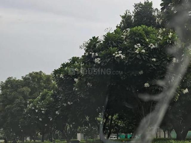 Residential Plot in Sector 71 for resale Gurgaon. The reference number is 20762564