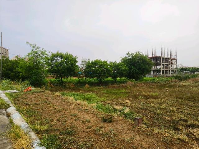 Residential Plot in Sector 73 for resale Gurgaon. The reference number is 20263892