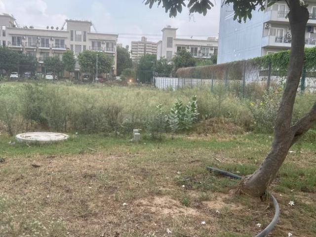 Residential Plot in Sector 70A for resale Gurgaon. The reference number is 20500661