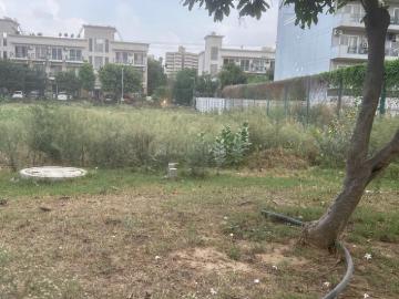 Residential Plot in Sector 70A for resale Gurgaon. The reference number is 20500661