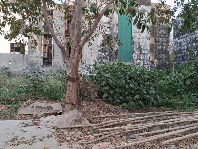 Residential Plot in Sector 71 for resale Noida. The reference number is 19675265