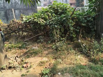 Mamura, Alpha 1 Suburb, Greater Noida, Gautam Buddha Nagar District, Delhi
