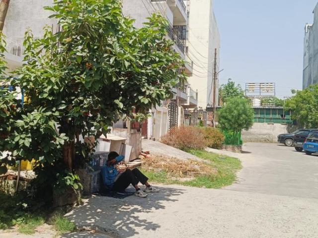 Residential Plot in Sector 71 for resale Noida. The reference number is 20148988