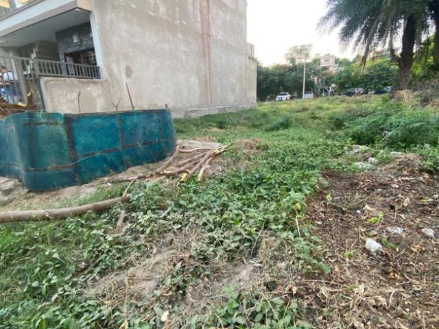 Residential Plot in Sector 77 for resale Mohali. The reference number is 21332620