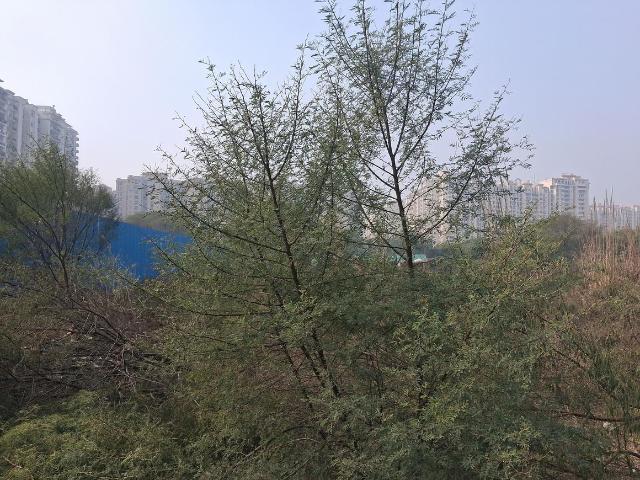 Residential Plot in Sector 76 for resale Noida. The reference number is 19424632