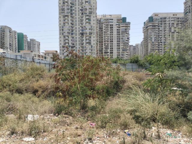 Residential Plot in Sector 76 for resale Noida. The reference number is 19424765