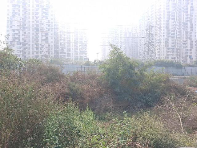 Residential Plot in Sector 76 for resale Noida. The reference number is 19420823