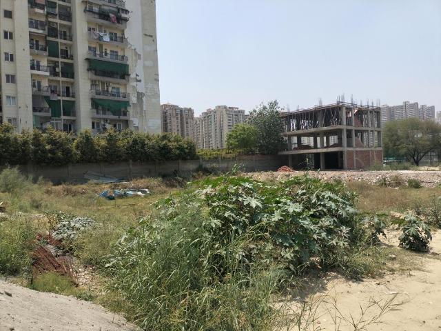 Residential Plot in Sector 76 for resale Noida. The reference number is 20415752