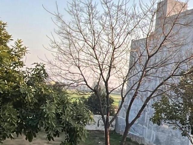 Residential Plot in Sector 79 for resale Mohali. The reference number is 21084624