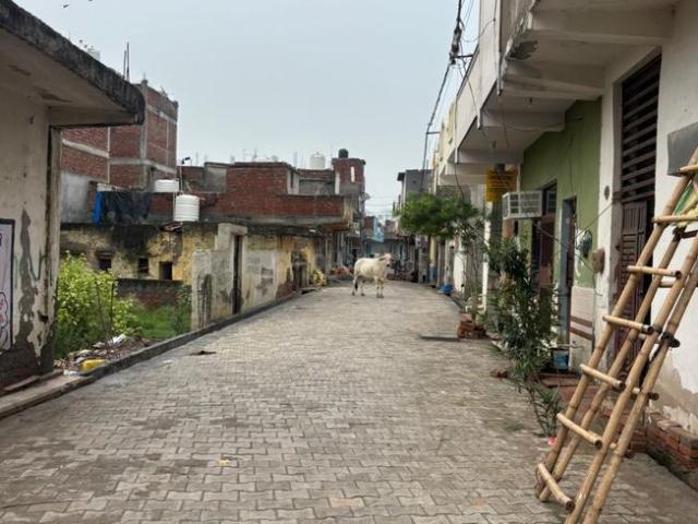 Residential Plot in Sector 79 for resale Noida. The reference number is 20765927