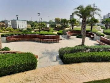Sector-41 Faridabad, Faridabad, Gautam Buddha Nagar District, Delhi