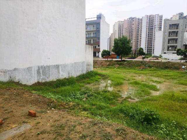 Residential Plot in Sector 82A for resale Gurgaon. The reference number is 20528445