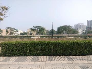 Sector-52 Faridabad, Faridabad, Gautam Buddha Nagar District, Delhi