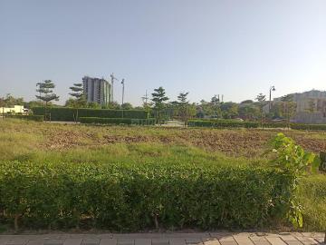 Sector-52 Faridabad, Faridabad, Gautam Buddha Nagar District, Delhi