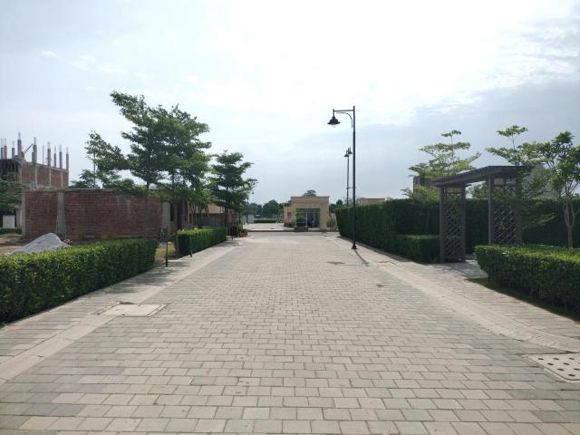 Residential Plot in Sector 84 for resale Faridabad. The reference number is 20051435