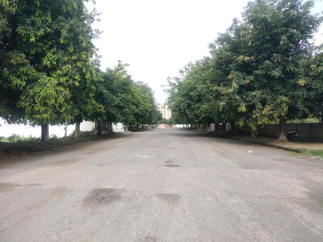 Residential Plot in Sector 84 for resale Faridabad. The reference number is 20717626