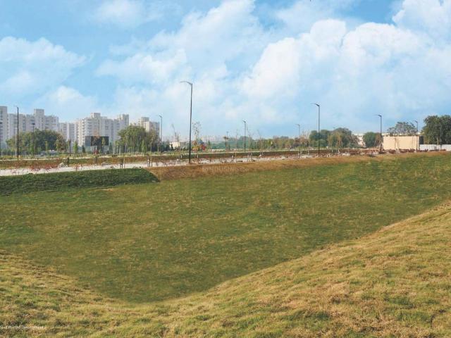 Residential Plot in Sector 84 for resale Faridabad. The reference number is 20935308