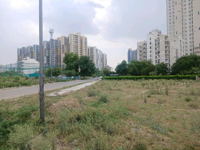 Residential Plot in Sector 84 for resale Gurgaon. The reference number is 20561938