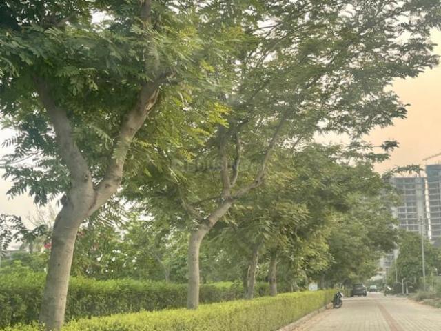 Residential Plot in Sector 85 for resale Mohali. The reference number is 20202800